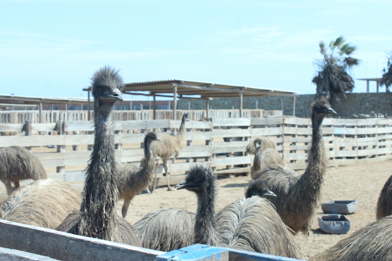 Circuitos de Playas 3