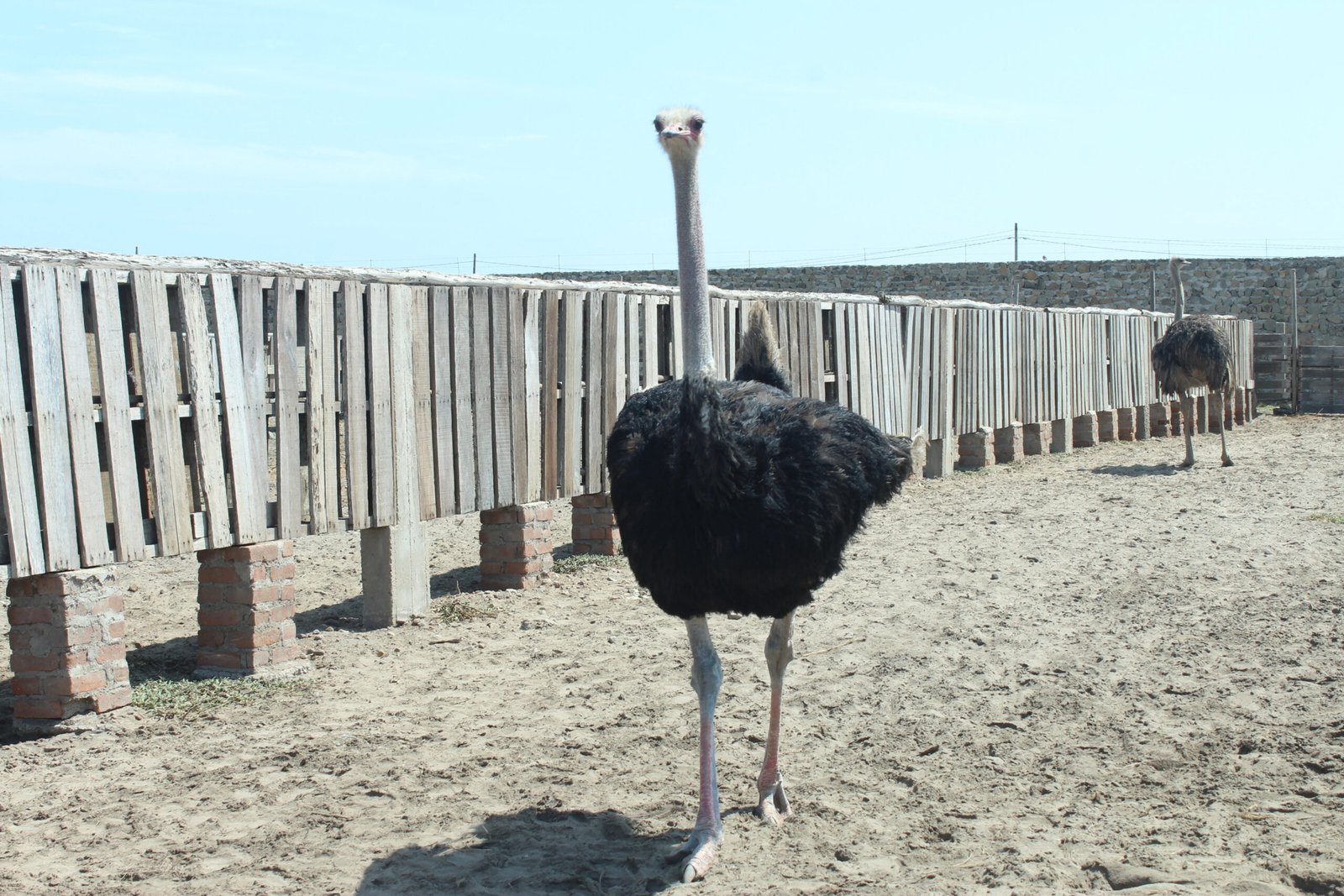 Circuitos de Playas 1