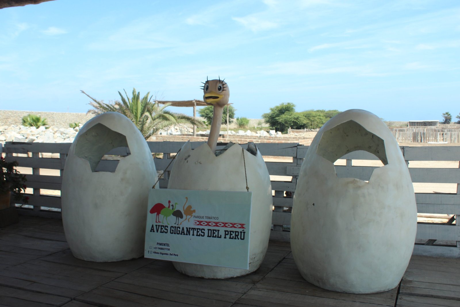 Circuitos de Playas 2